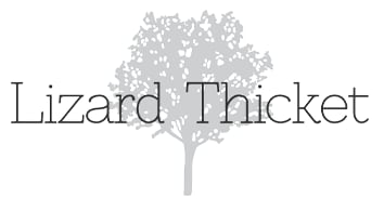 Lizard Thicket