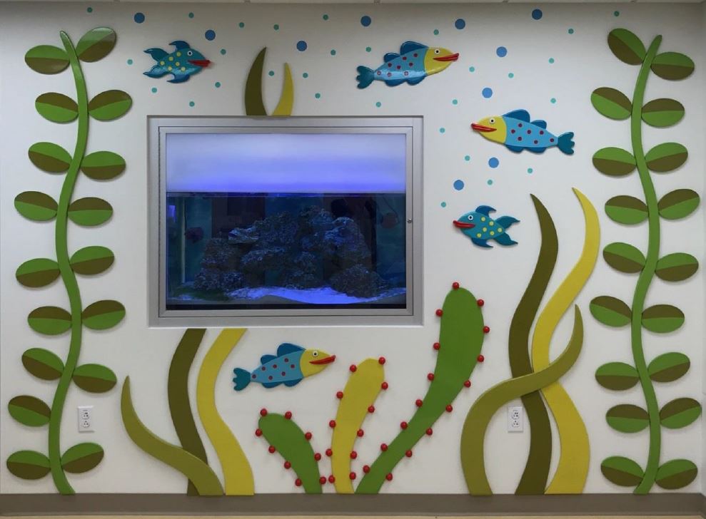 Aquarium Wall (2017) 